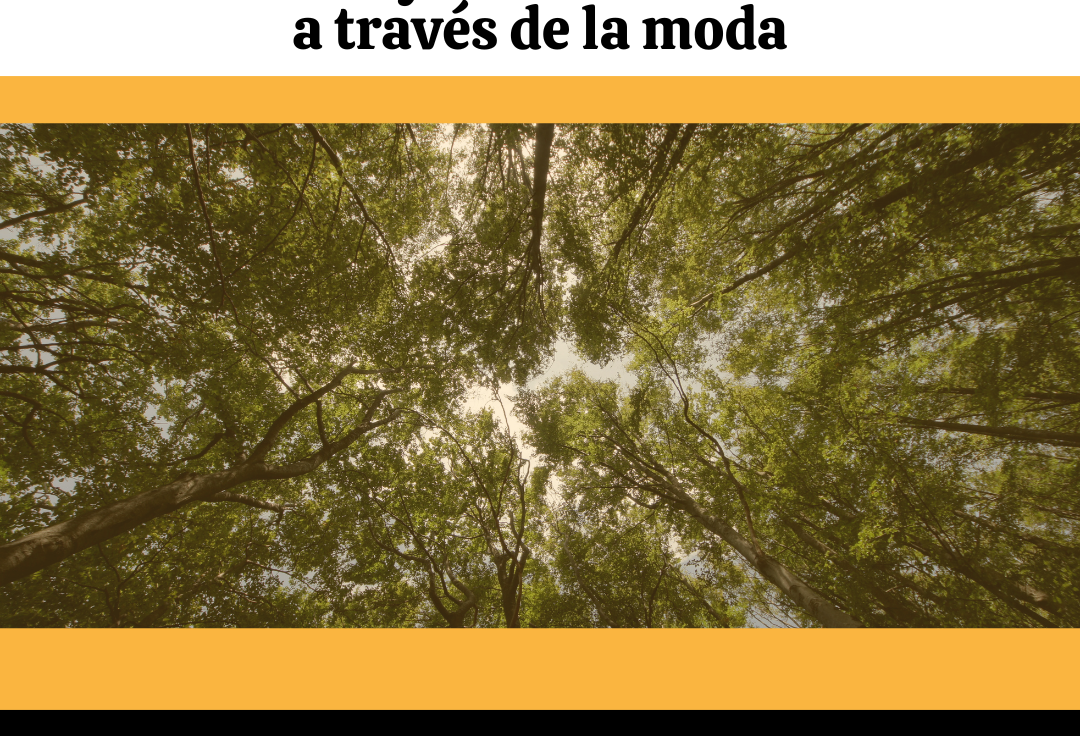 4 formas de ayudar al medio ambiente con la moda